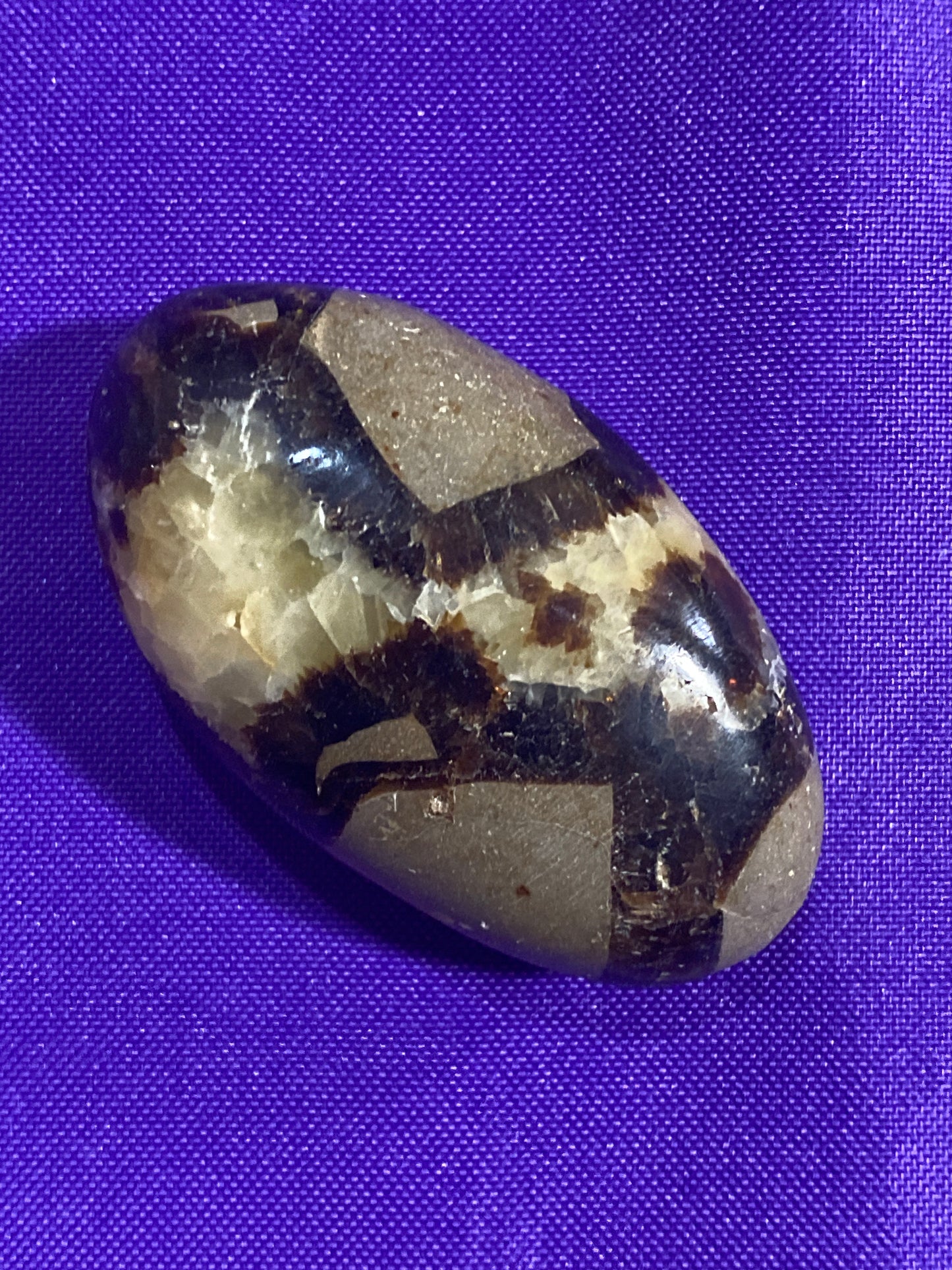 Septarian Nodule Palm Stone