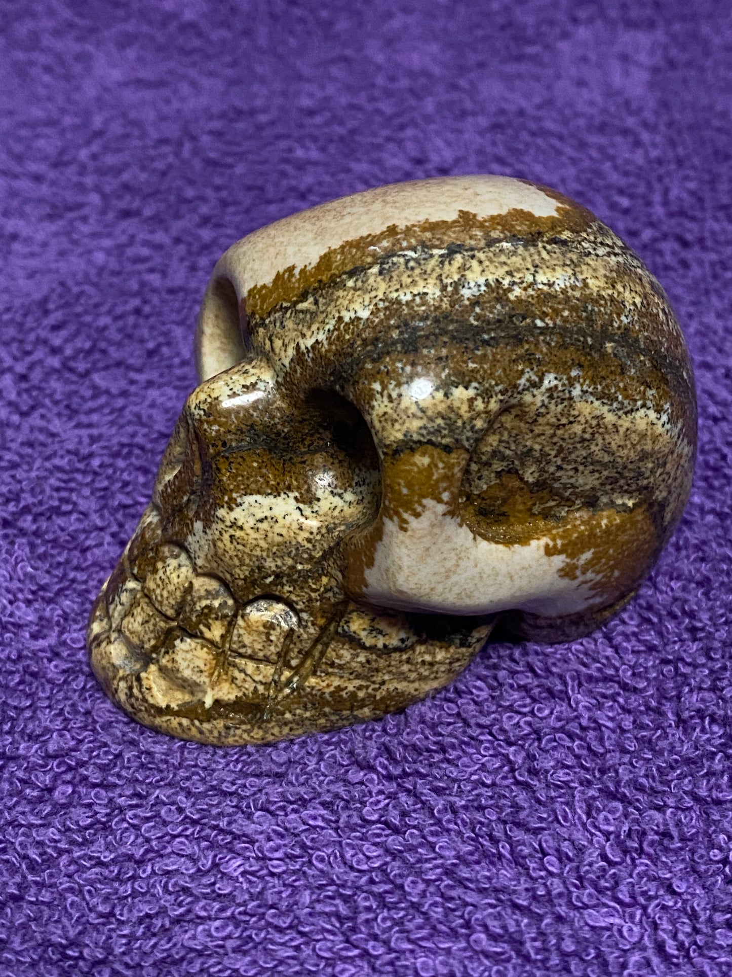 Picture Jasper 7.7 oz Skull