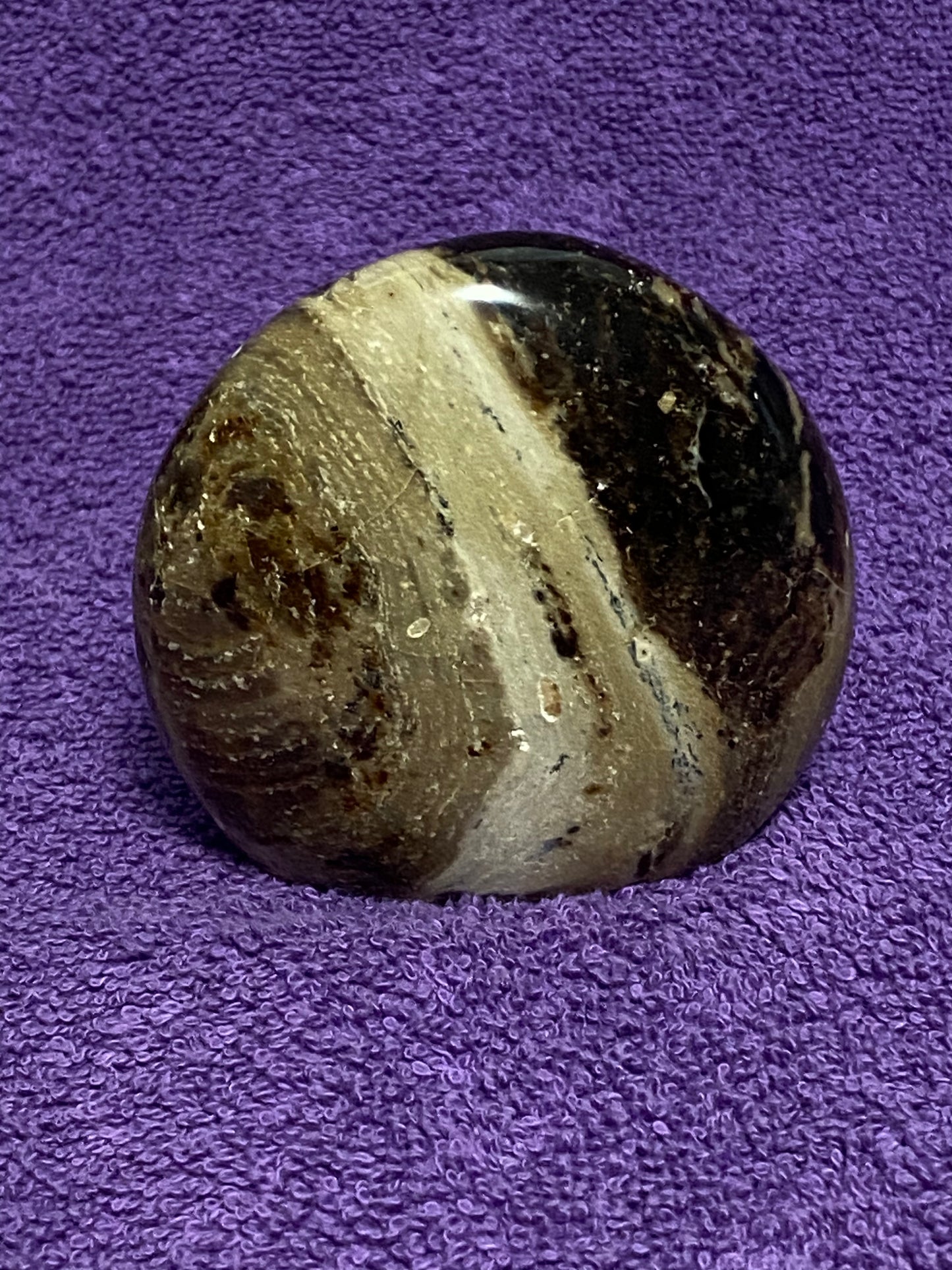 Petrified Wood Freeform