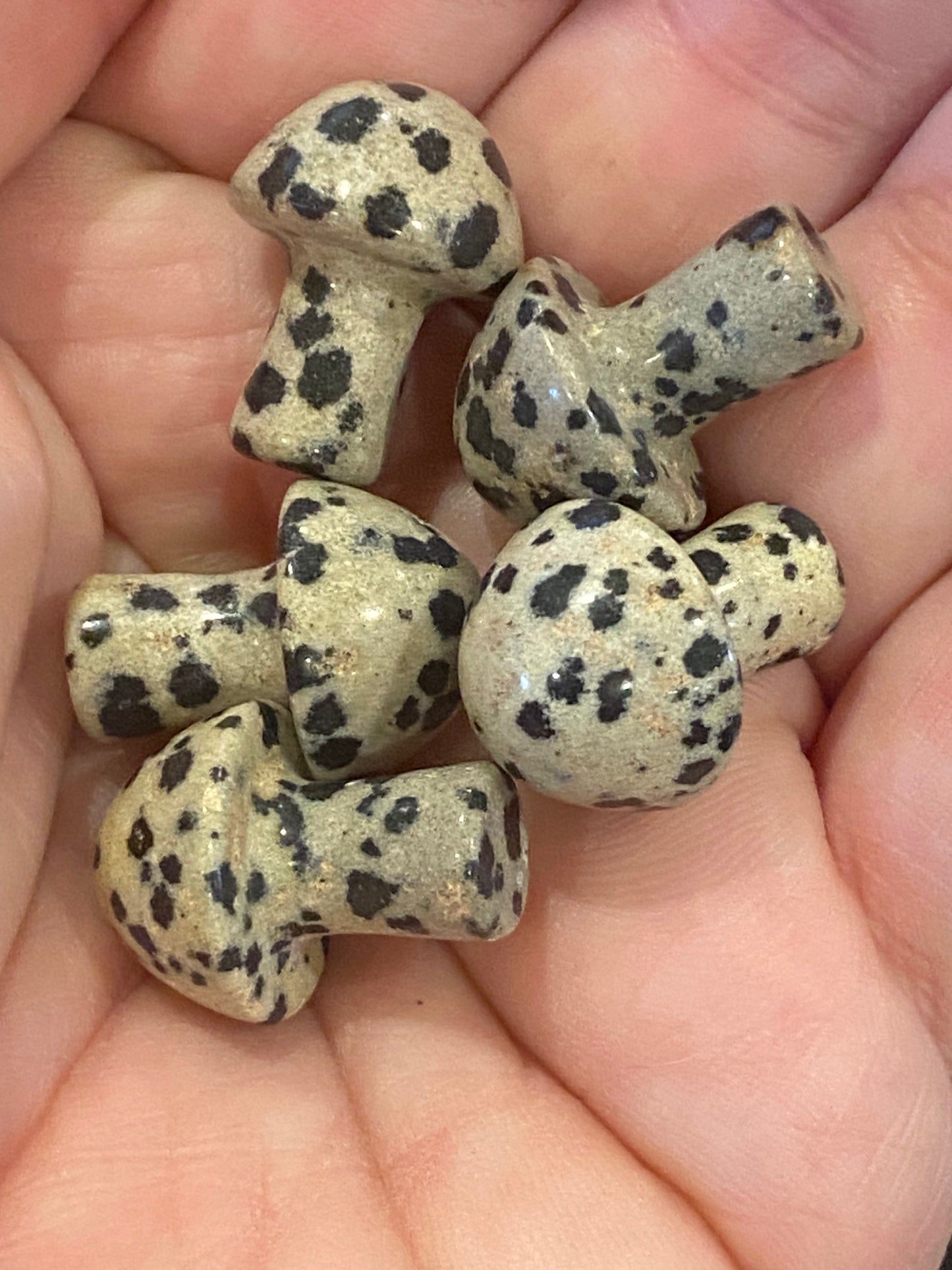 Mini Gemstone Mushrooms