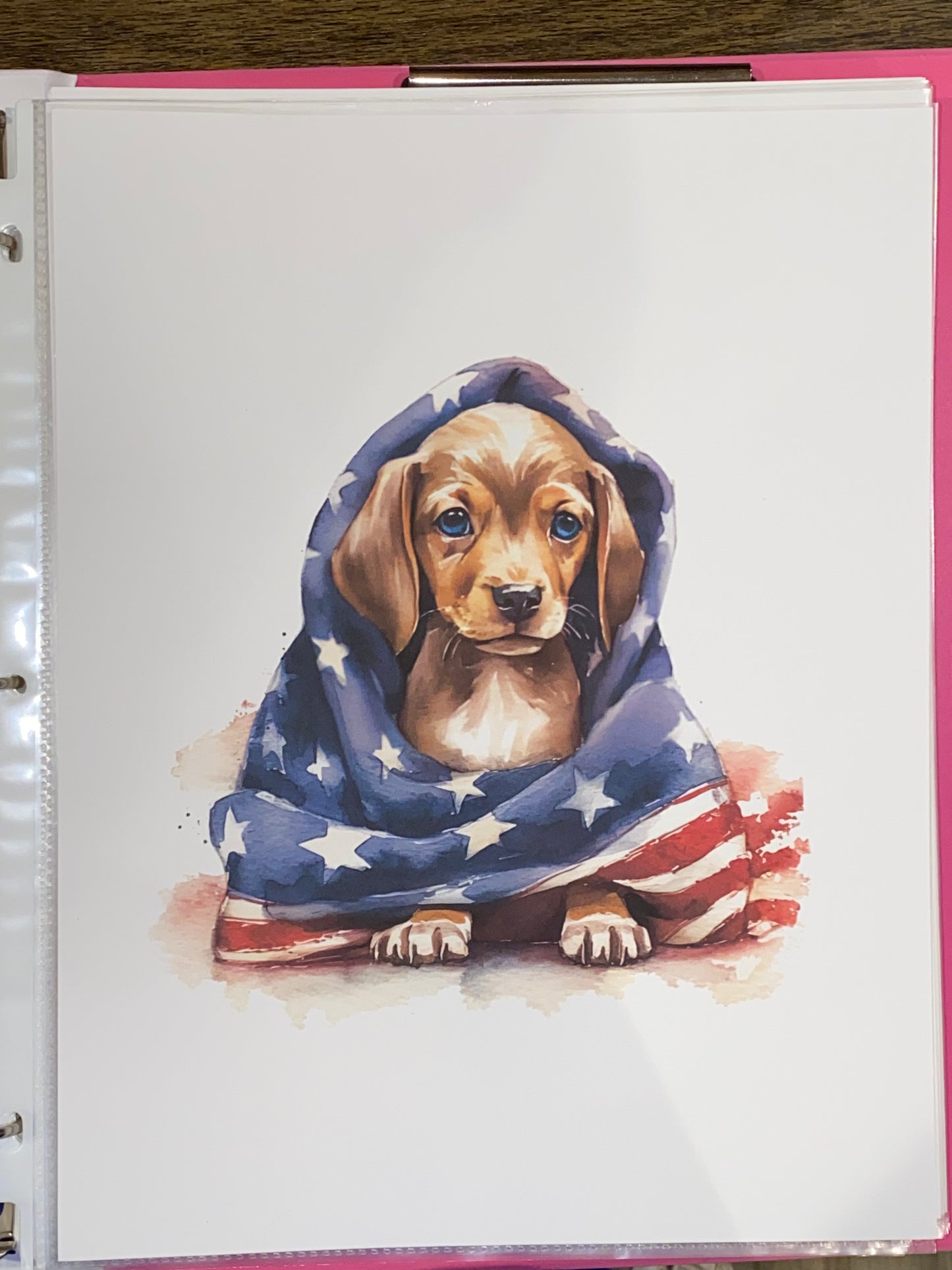 Americana Unframed Prints