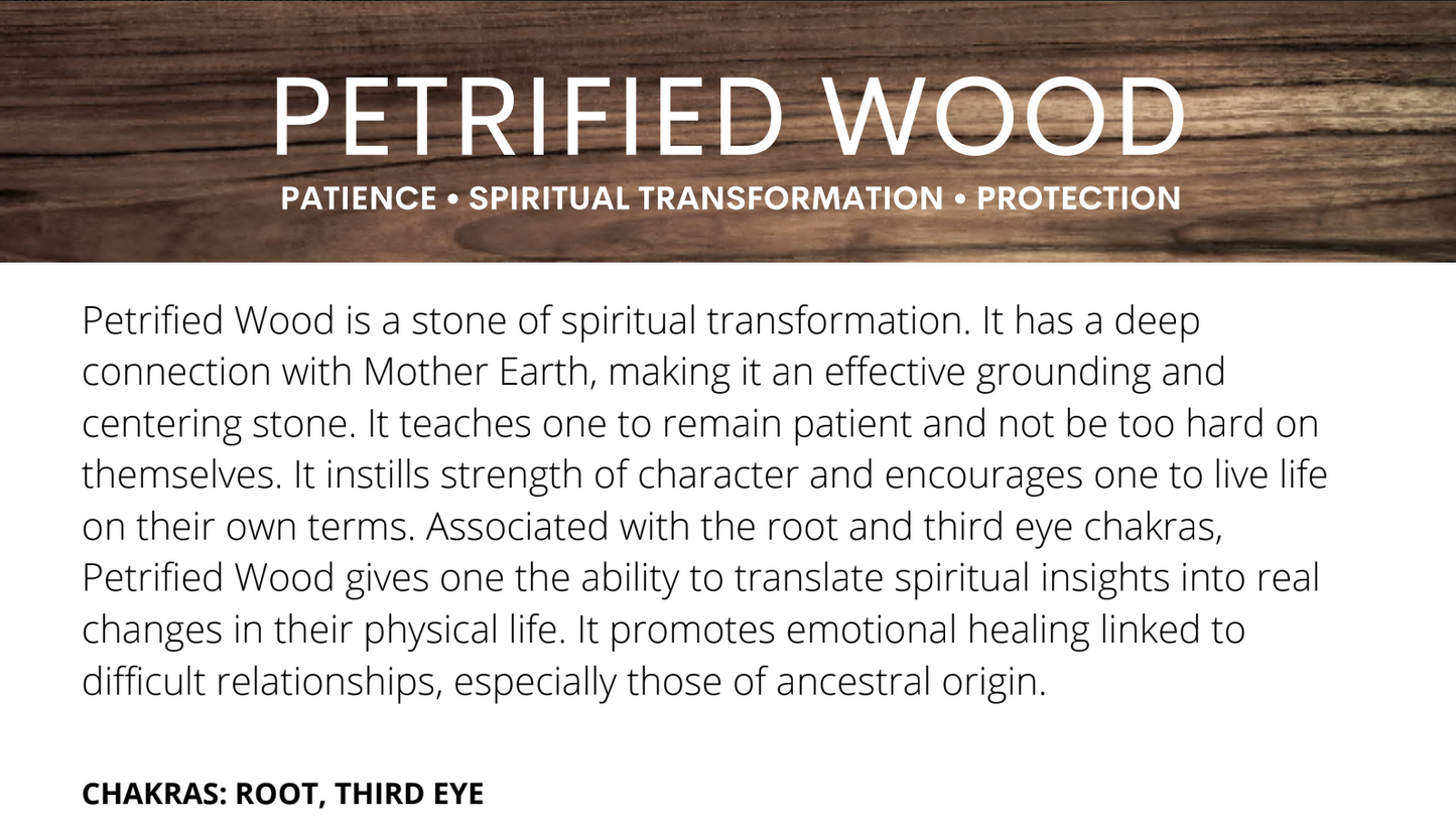 Petrified Wood Tumbles