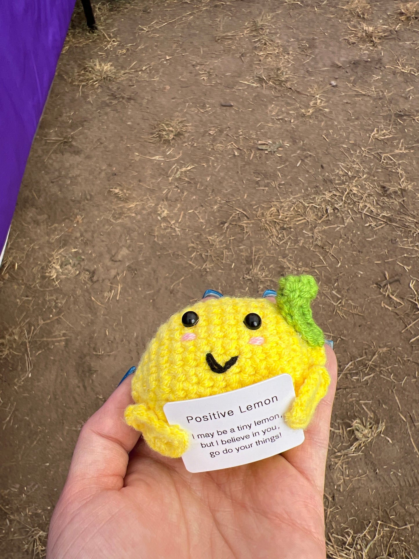 Positive Lemon Crochet Plushie