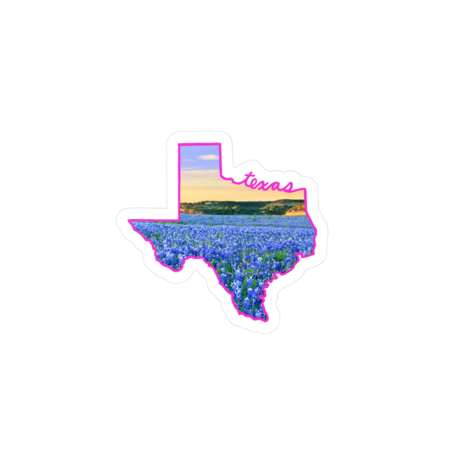 Texas Landscape Vinyl Stickers