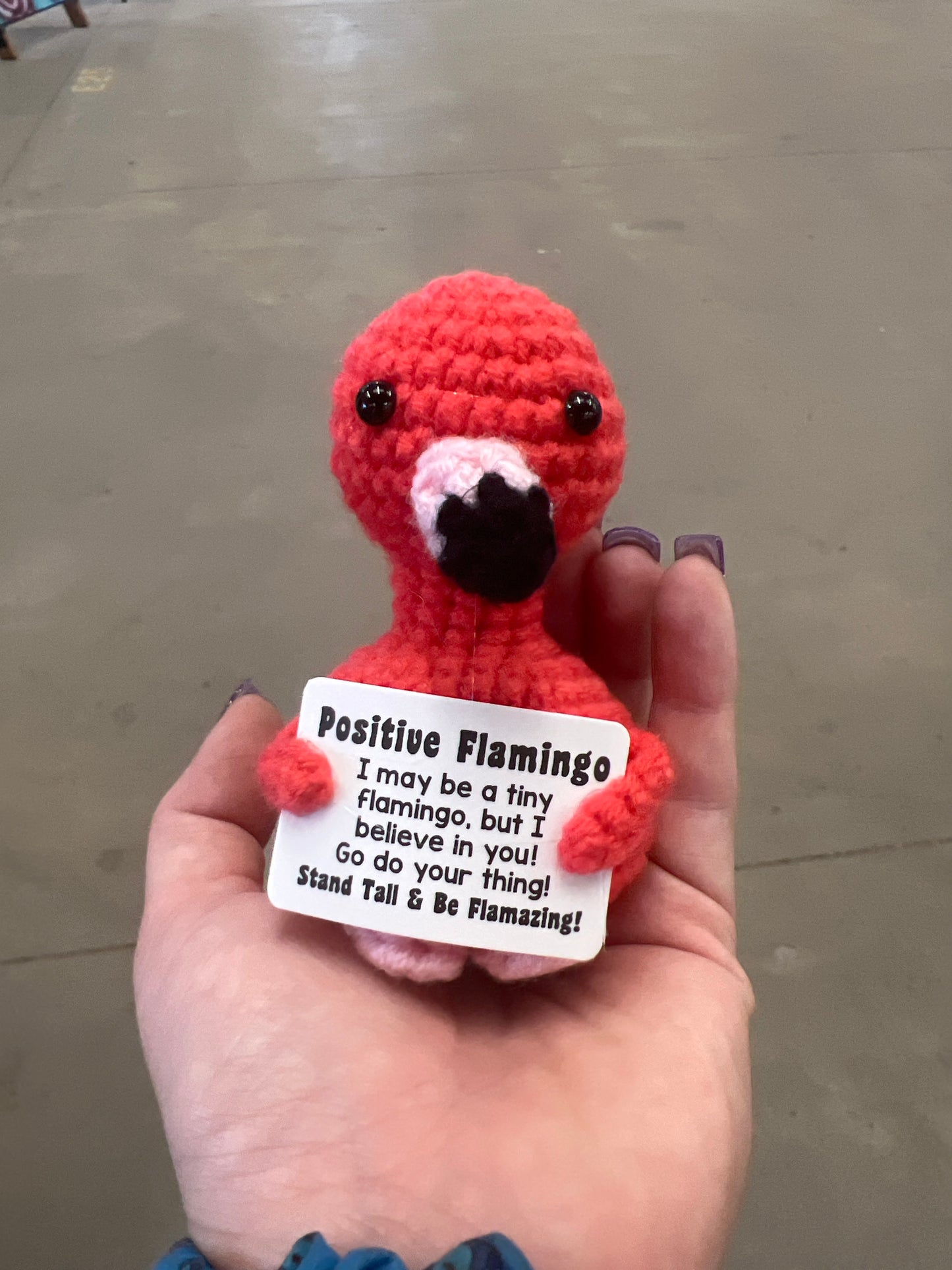 Positive Flamingo