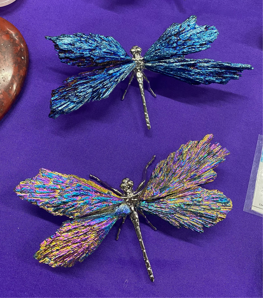 Aura Black Kyanite Dragonfly