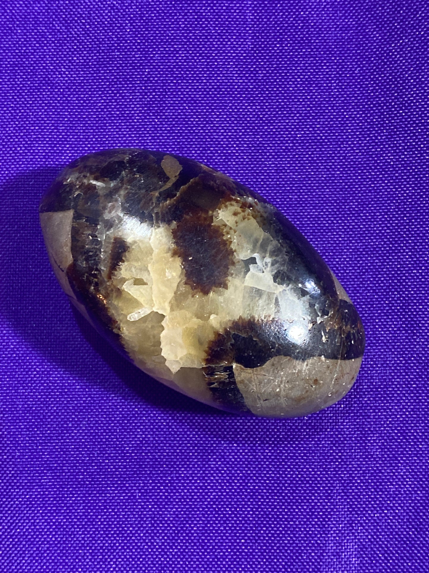 Septarian Nodule Palm Stone
