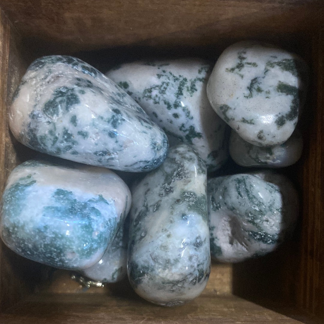 Tree Agate Tumbles