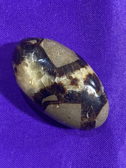 Septarian Nodule Palm Stone