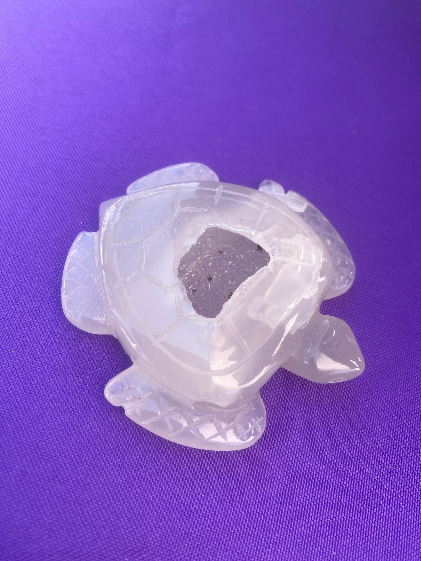 Druzy Agate Turtle Crystal Gemstone Carving