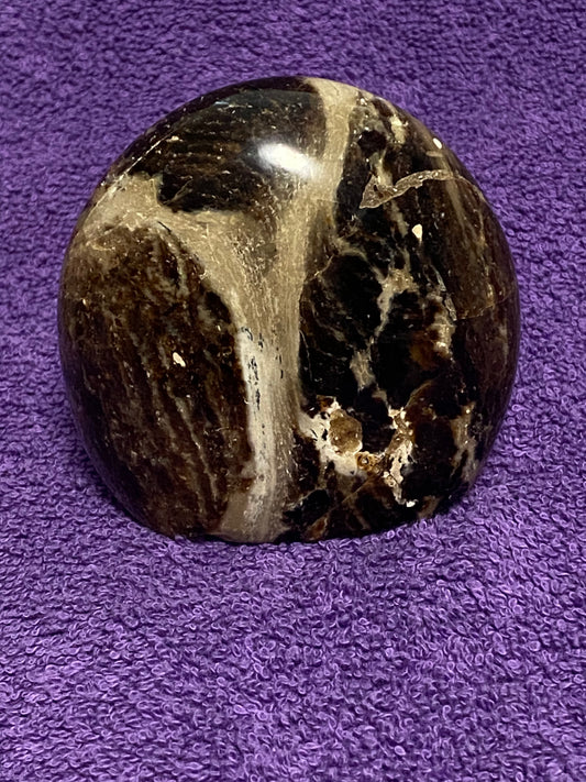 Petrified Wood Freeform