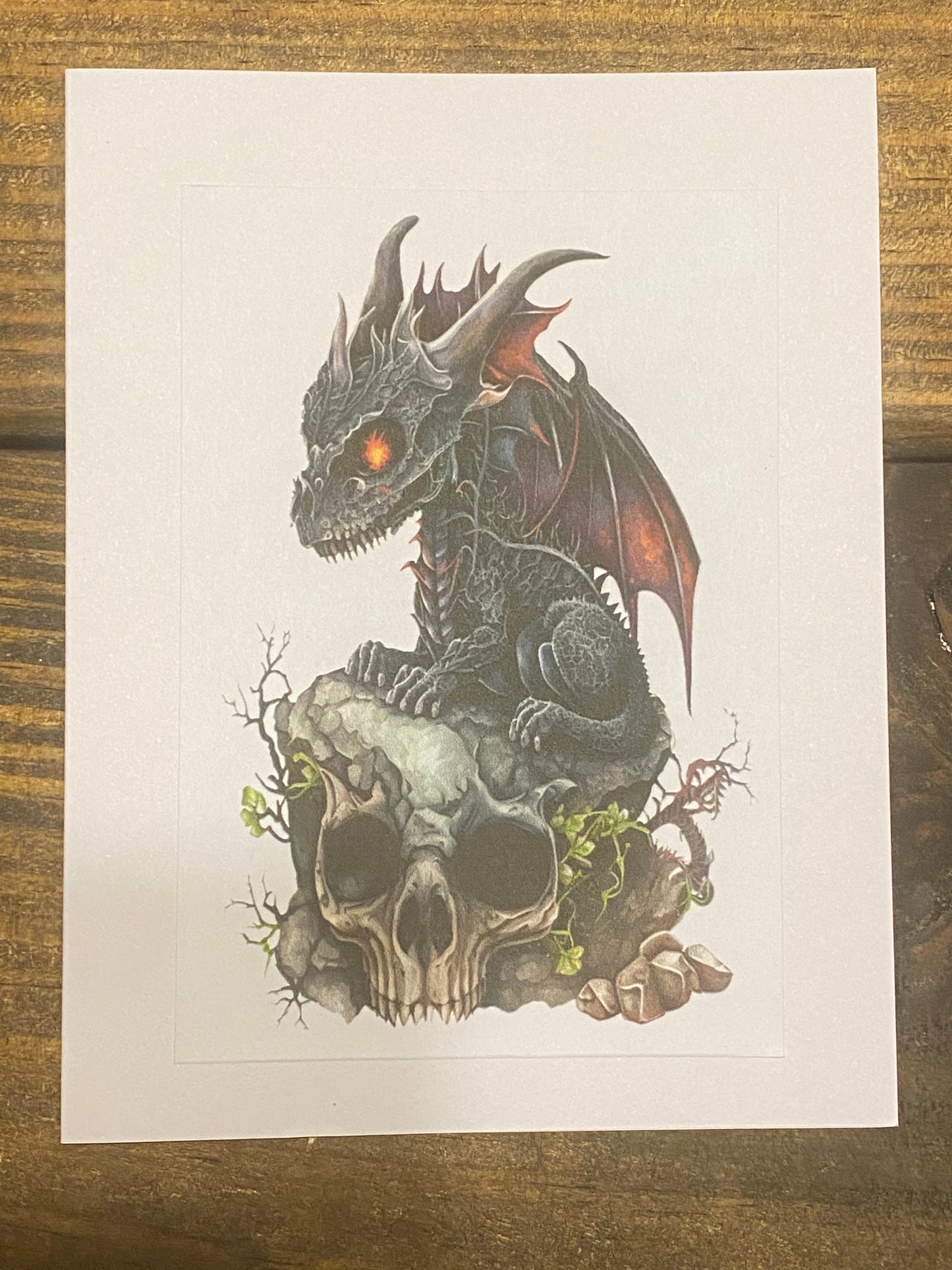 Baby Black Dragon Prints