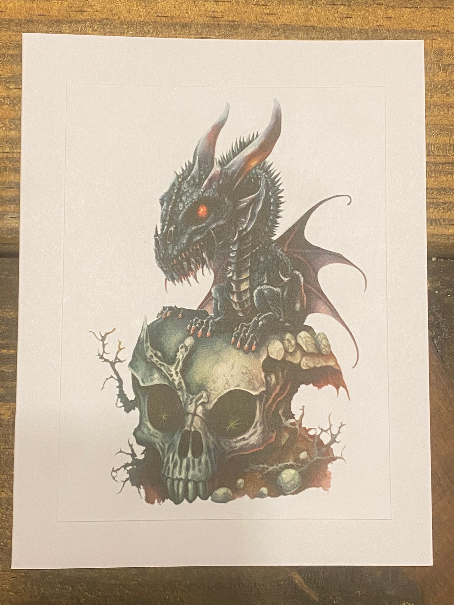 Baby Black Dragon Prints