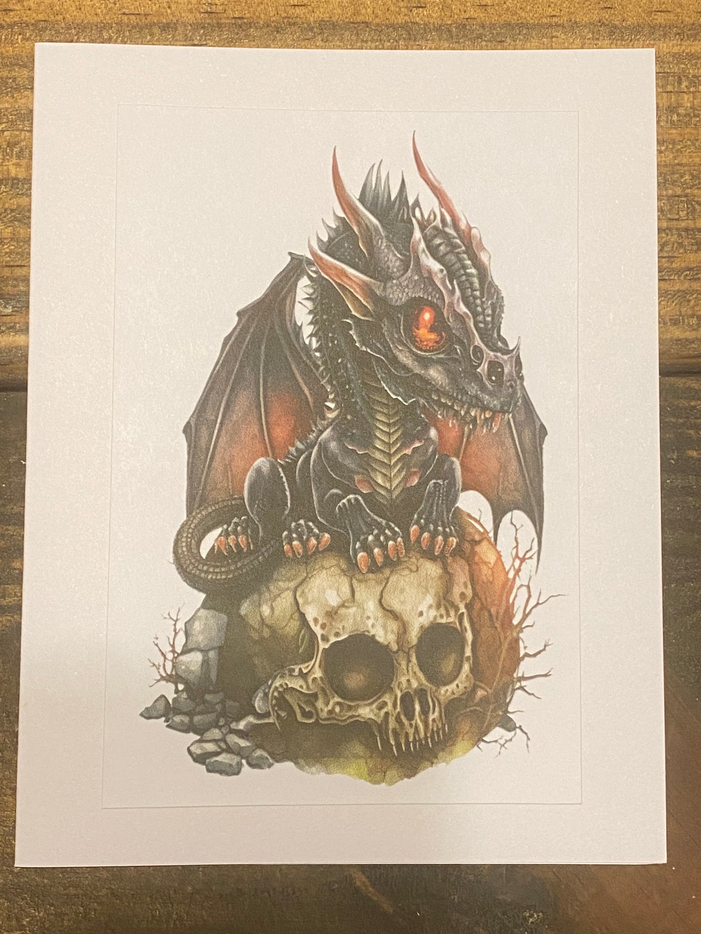 Baby Black Dragon Prints