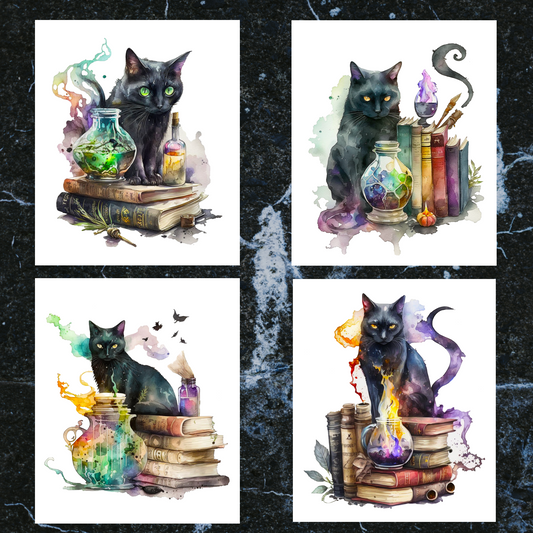 Magical Black Cat 16 page Blank Journals