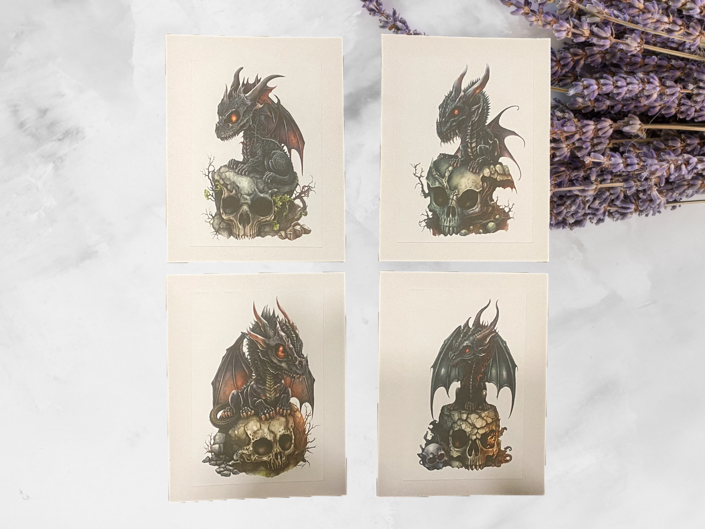 Baby Black Dragon Prints