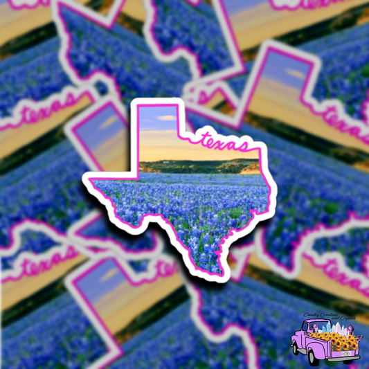 Texas Landscape Vinyl Stickers